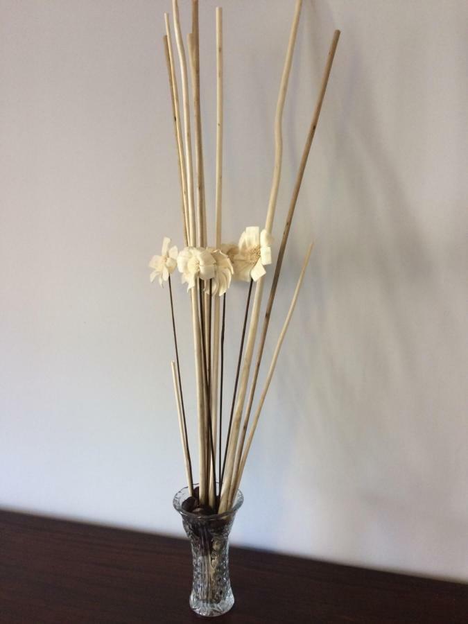 Sabiñánigo Apartamento Pirineo Aragones מראה חיצוני תמונה