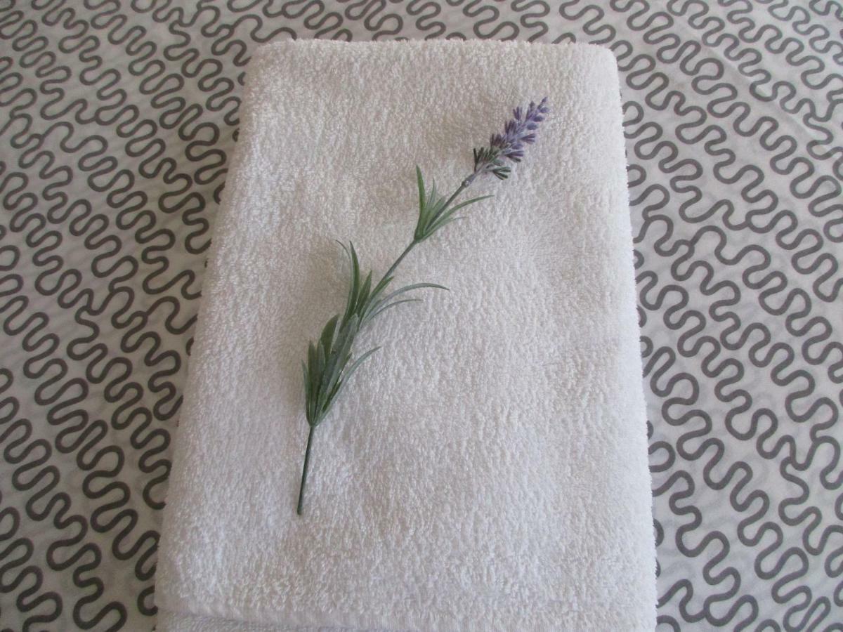 Sabiñánigo Apartamento Pirineo Aragones מראה חיצוני תמונה
